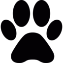 animals,cat,dog,print,khao manee cat,pawprint,footprint,paws,dog tags military